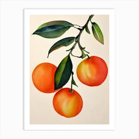 Orange Watercolour Fruit Painting Fruit Art Print