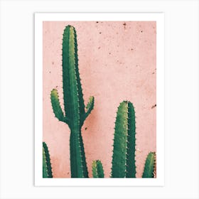 Cactus 1 Art Print