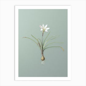 Vintage Rain Lily Botanical Art on Mint Green n.0218 Art Print