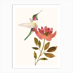 Hummingbird On A Flower Art Print