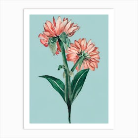 Dahlias 12 Art Print