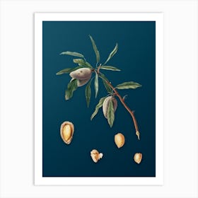 Vintage Almond Botanical Art on Teal Blue n.0896 Art Print