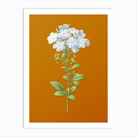 Vintage Plumbago Caerulea Botanical on Sunset Orange n.0182 Art Print