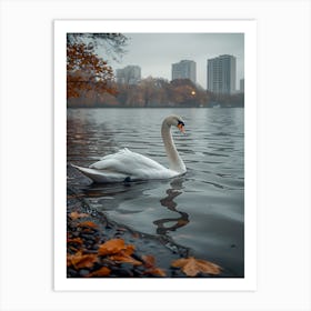 Swan In The Park 2 Art Print