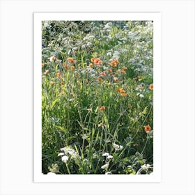 Wildflowers 2 Art Print