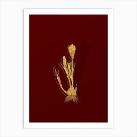 Vintage Spring Crocus Botanical in Gold on Red n.0592 Art Print