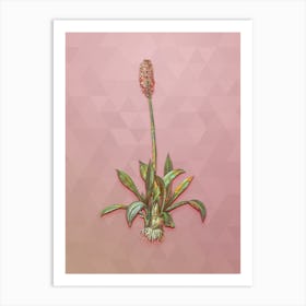 Vintage Swamp Pink Botanical Art on Crystal Rose Art Print