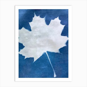 Maple Leaf Art Print