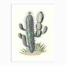 Fishhook Cactus William Morris Inspired 1 Art Print