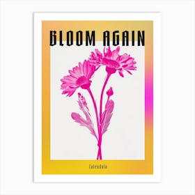 Hot Pink Calendula 1 Poster Art Print