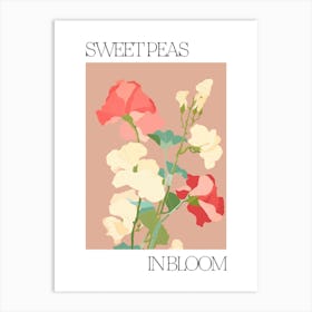 Sweet Peas In Bloom Flowers Bold Illustration 3 Art Print