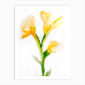 Watercolor Lilies Art Print