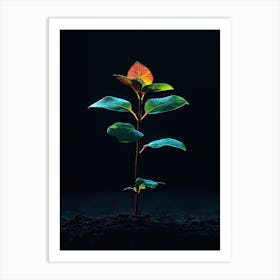 Tree Grows In The Dark 3 Art Print