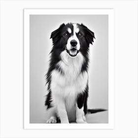 Collie B&W Pencil Dog Art Print