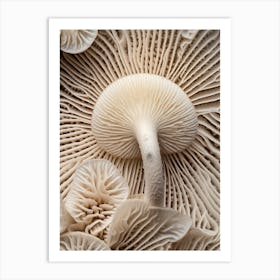 Mushroom Photography 6 Art Print