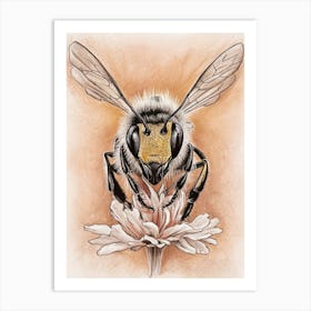 Bee On Flower 1 Art Print