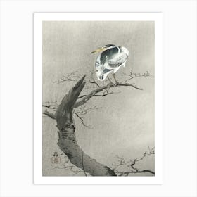 Kwak On Branch (1900 1936), Ohara Koson Art Print