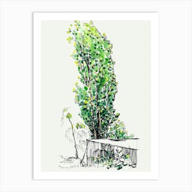 Tree In A Garden Art Print