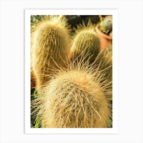 Cactus 20220118 36ppub Art Print