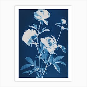 Rosa III Art Print