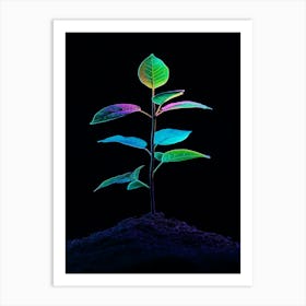 Plant Grows In The Dark 4 Art Print