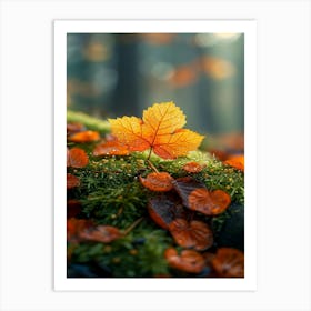 Autumn Leaves On Moss Art Print