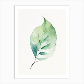 Wintergreen Leaf Minimalist Watercolour 1 Art Print