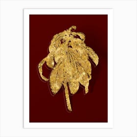 Vintage Spurge Laurel Weeds Botanical in Gold on Red n.0051 Art Print