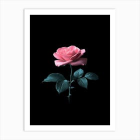 Pink Rose On Black Background 19 Art Print