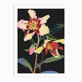 Neon Flowers On Black Hellebore 1 Art Print