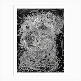 Dandie Dinmont Terrier Dog Line Sketch 2 Art Print