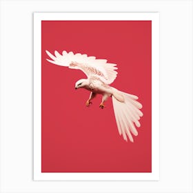 Minimalist Falcon 2 Illustration Art Print