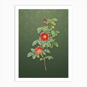 Vintage Single May Rose Botanical on Lunar Green Pattern n.0658 Art Print