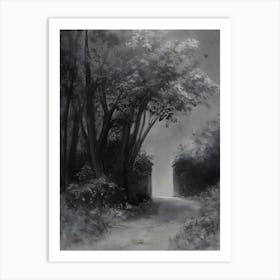 Path In The Woods Art Print