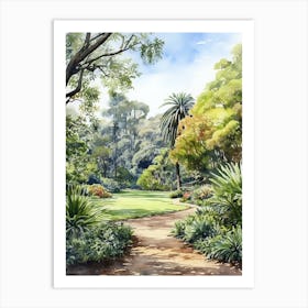 Royal Botanical Gardens Melbourne Australia Watercolour 2 Art Print