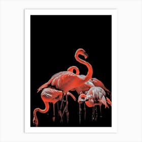 Flamingo Line Art Art Print