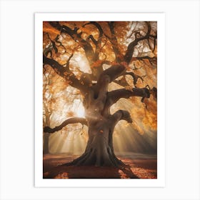 Ancient Tree Art Print