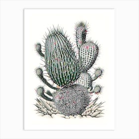 Stenocactus Cactus William Morris Inspired 2 Art Print