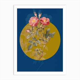 Vintage Botanical Queen Elizabeth's Sweetbriar Rose on Circle Yellow on Blue Art Print