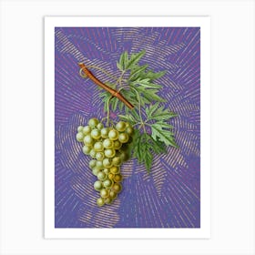 Vintage Grape Vine Botanical Illustration on Veri Peri n.0803 Art Print