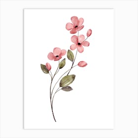 Pink Flowers On A White Background Art Print