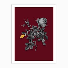 Vintage Dwarf Damask Rose Black and White Gold Leaf Floral Art on Burgundy Red n.0688 Art Print