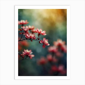 Blossoming Cherry Blossoms Art Print