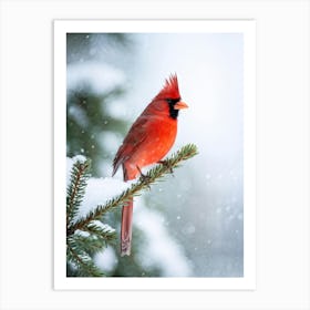 Cardinal Perched On A Frosted Pine Branch Vibrant Red Feathers Contrasting With Soft White Snow Ge Art Print