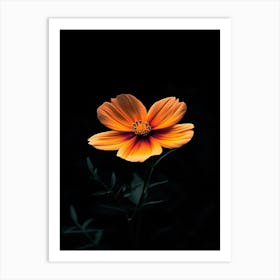 Orange Flower 26 Art Print