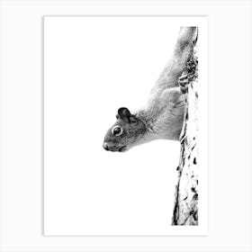 Curious Squirrel Black and White Minimalist Art Print Boho Art Print