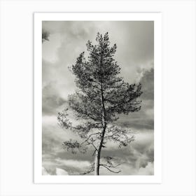 Lone Tree Art Print