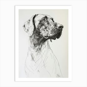 Pointer Dog Black & White Line Sketch 2 Art Print