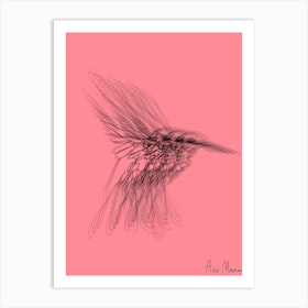 Colibri006 Art Print