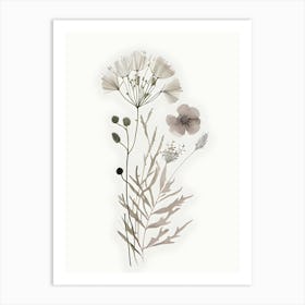 Minimalist Wildflower Floral Botanical Neutral Art Print